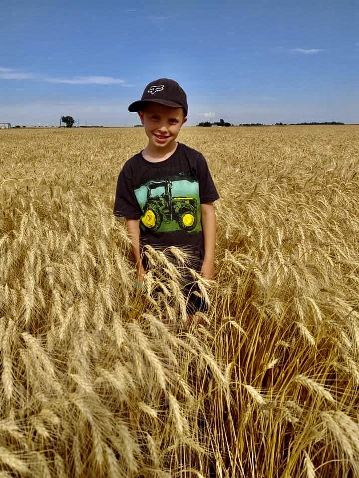 The next generation standing in the wheat field